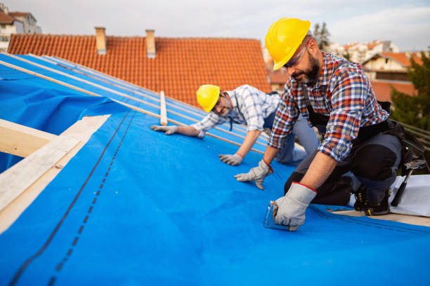 Best Roof Ventilation Installation  in Covelo, CA